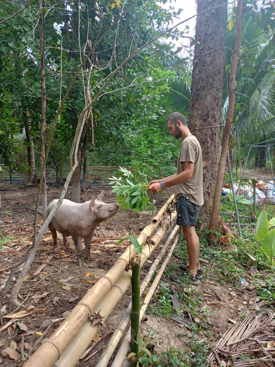 Green Garden Homestay Ban Khlong Wa Zewnętrze zdjęcie